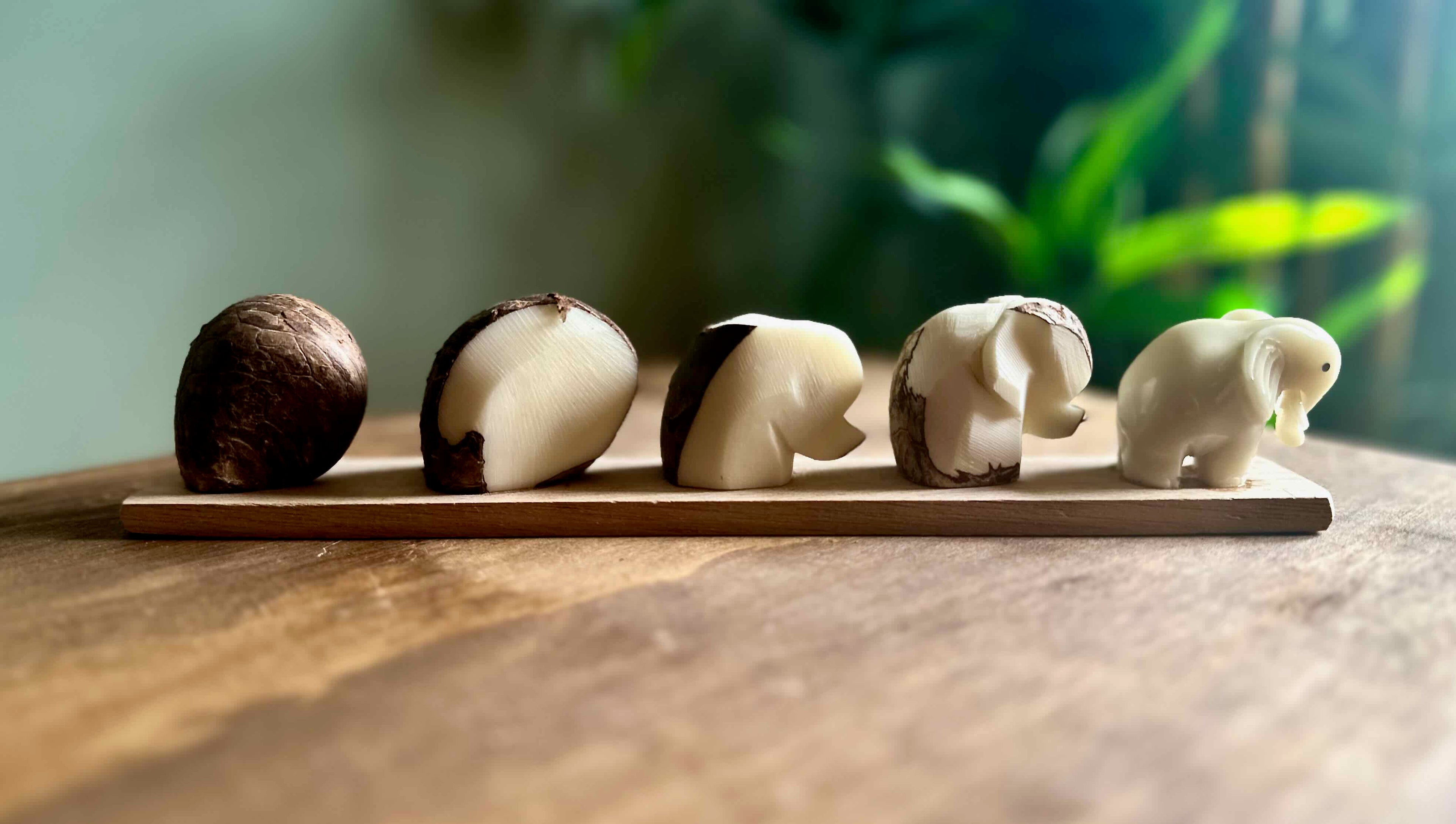 Evolution Tagua Figurine
