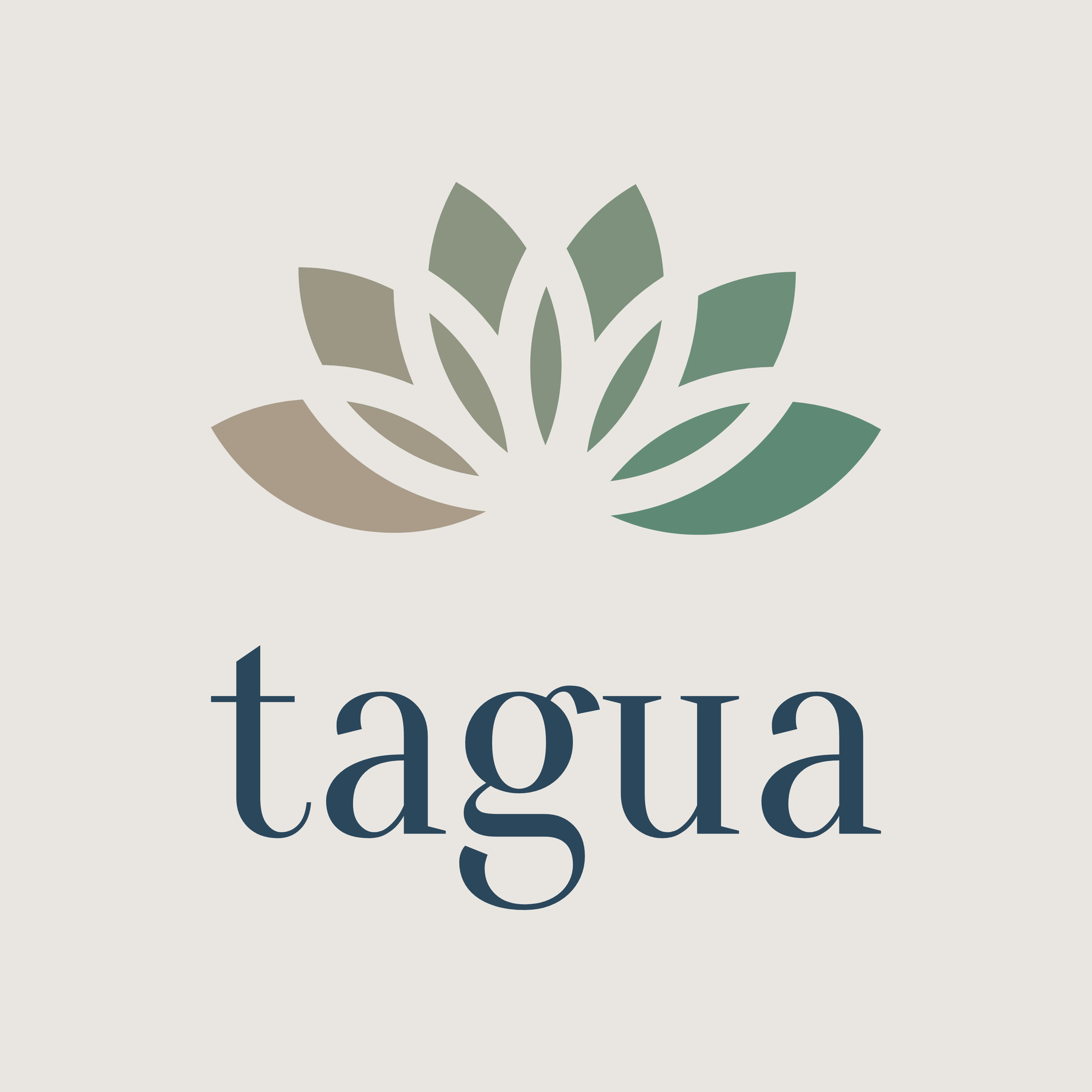 Tagua Jewellery