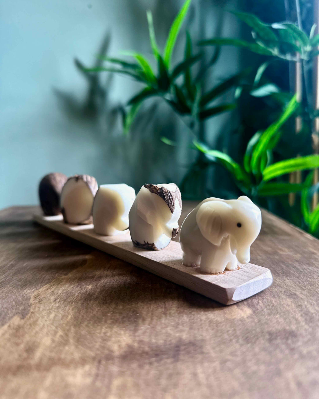 Evolution Tagua Figurine